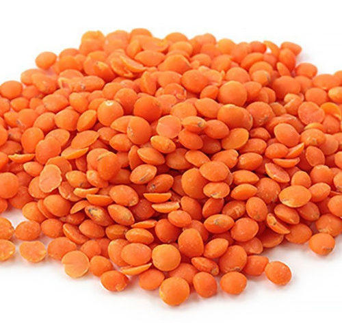100-pure-and-natural-high-protein-gold-dried-red-masoor-dal-for-cooking-313
