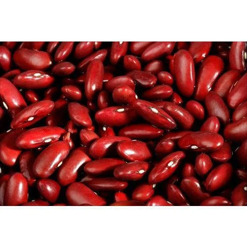 kidney-bean-500×500